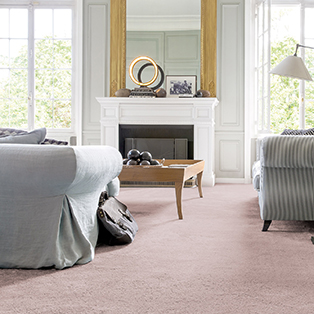 Invictus Sirius 70oz high quality stain resistant carpet in Carnation available from Flooring 4 You
